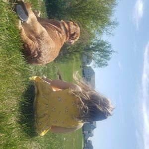 Meet your Posher, Crystal